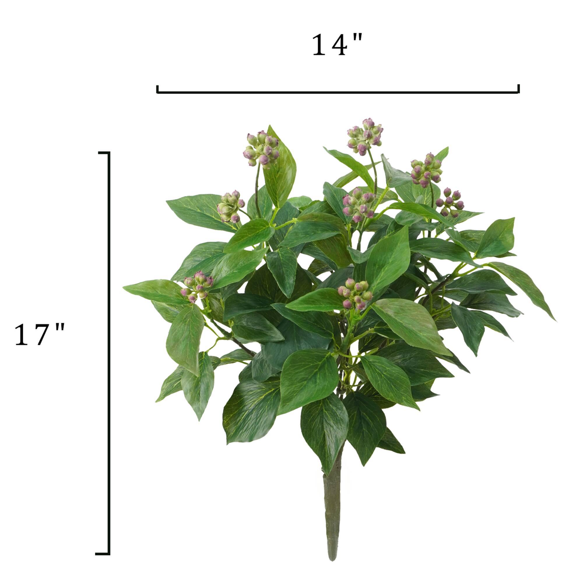 17" Fruiting Ivy Busy by Ashland®